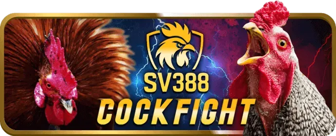 Tổng quan về đá gà trực tuyến tại W388 Casino